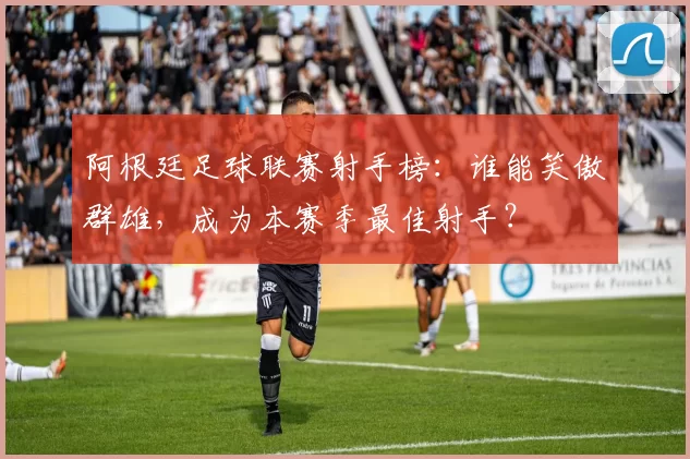 阿根廷足球联赛射手榜：谁能笑傲群雄，成为本赛季最佳射手？