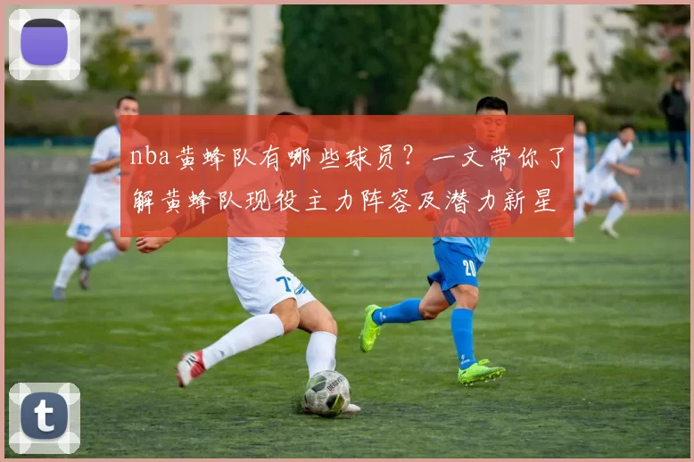 nba黄蜂队有哪些球员？一文带你了解黄蜂队现役主力阵容及潜力新星！