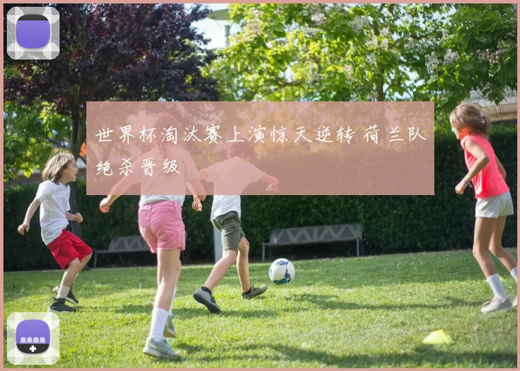 世界杯淘汰赛上演惊天逆转 荷兰队绝杀晋级