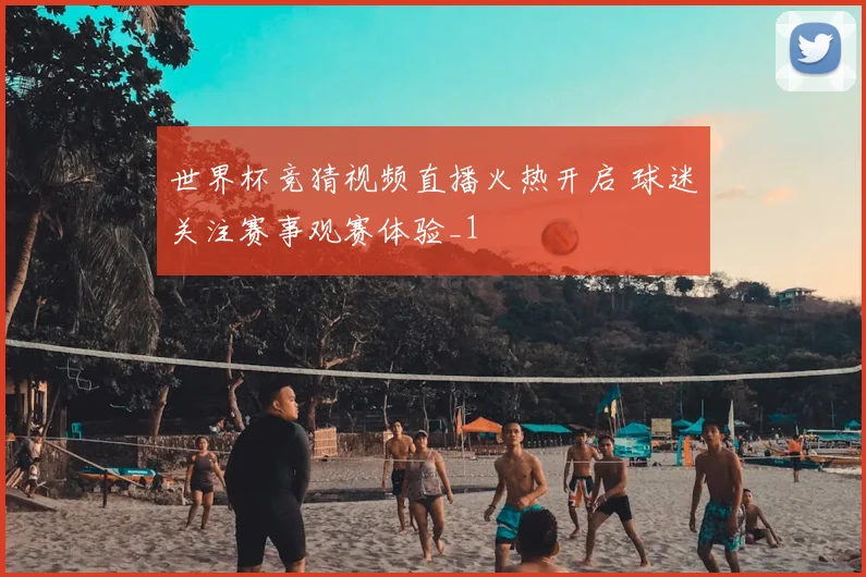 世界杯竞猜视频直播火热开启 球迷关注赛事观赛体验_1