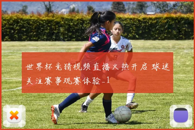 世界杯竞猜视频直播火热开启 球迷关注赛事观赛体验_1